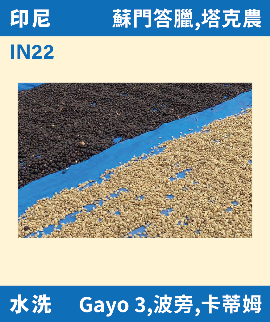 印尼 塔克農 Gayo 水洗