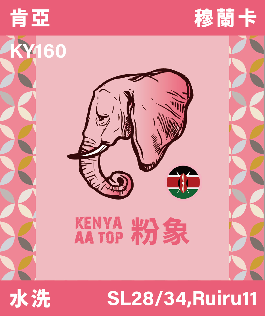 肯亞 穆蘭卡 粉象 AA TOP