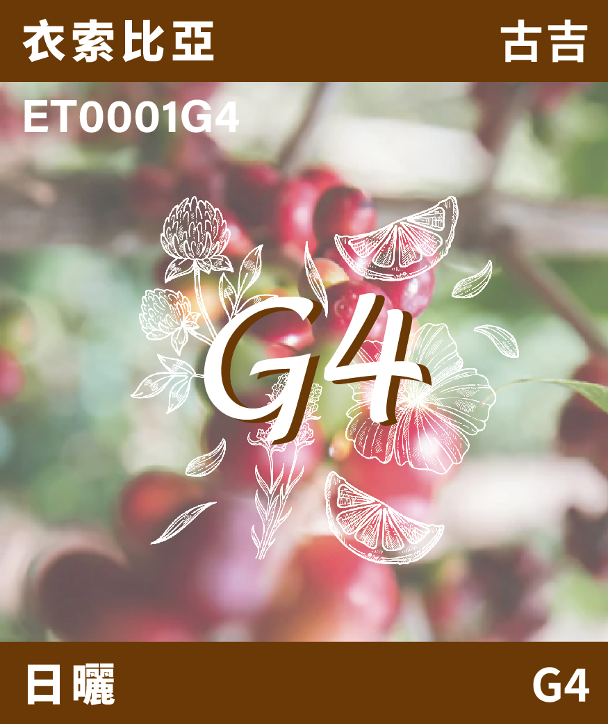 衣索比亞 古吉 G4 [預訂]
