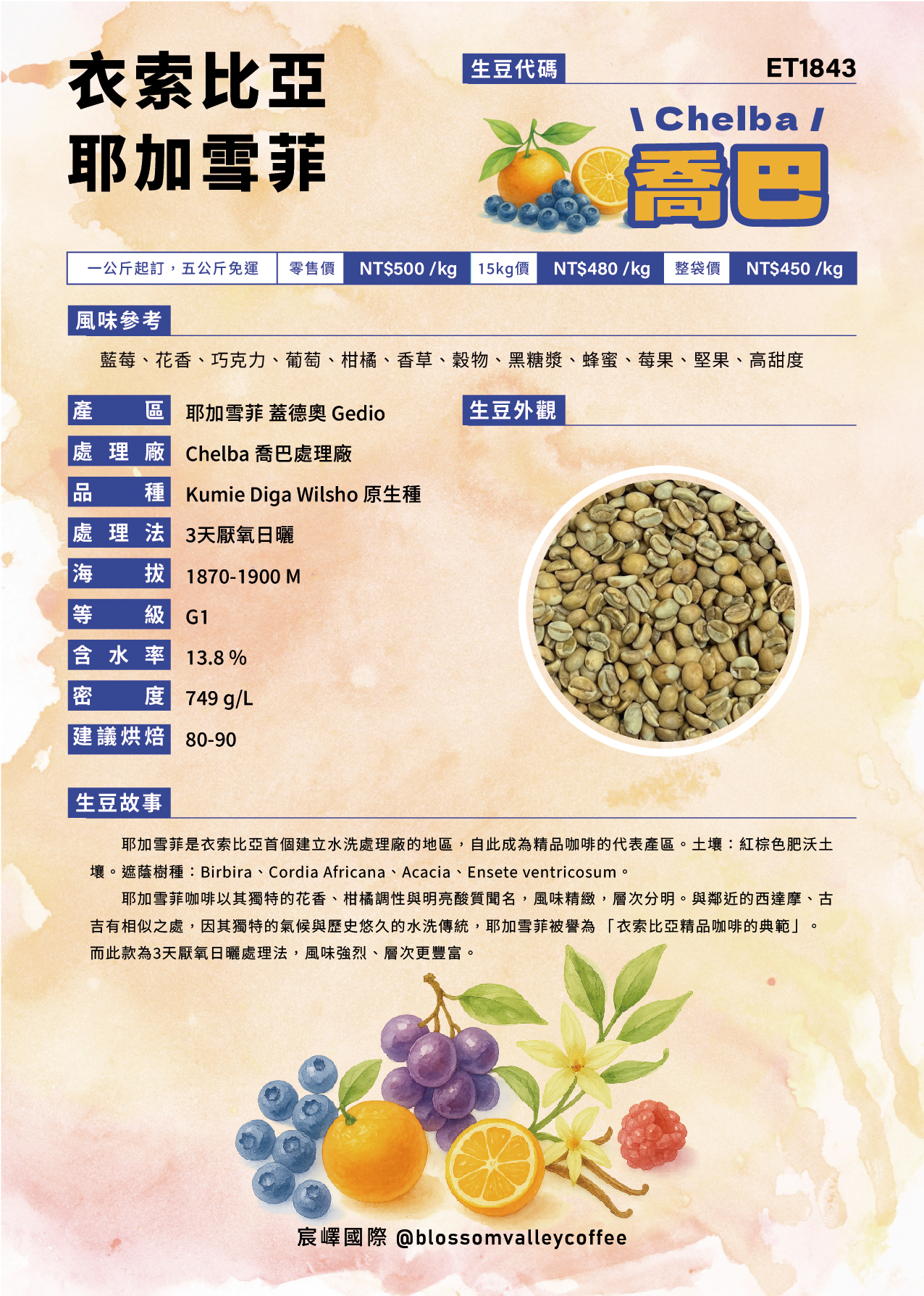 衣索比亞 耶加雪菲 喬巴 3天厭氧日曬 G1