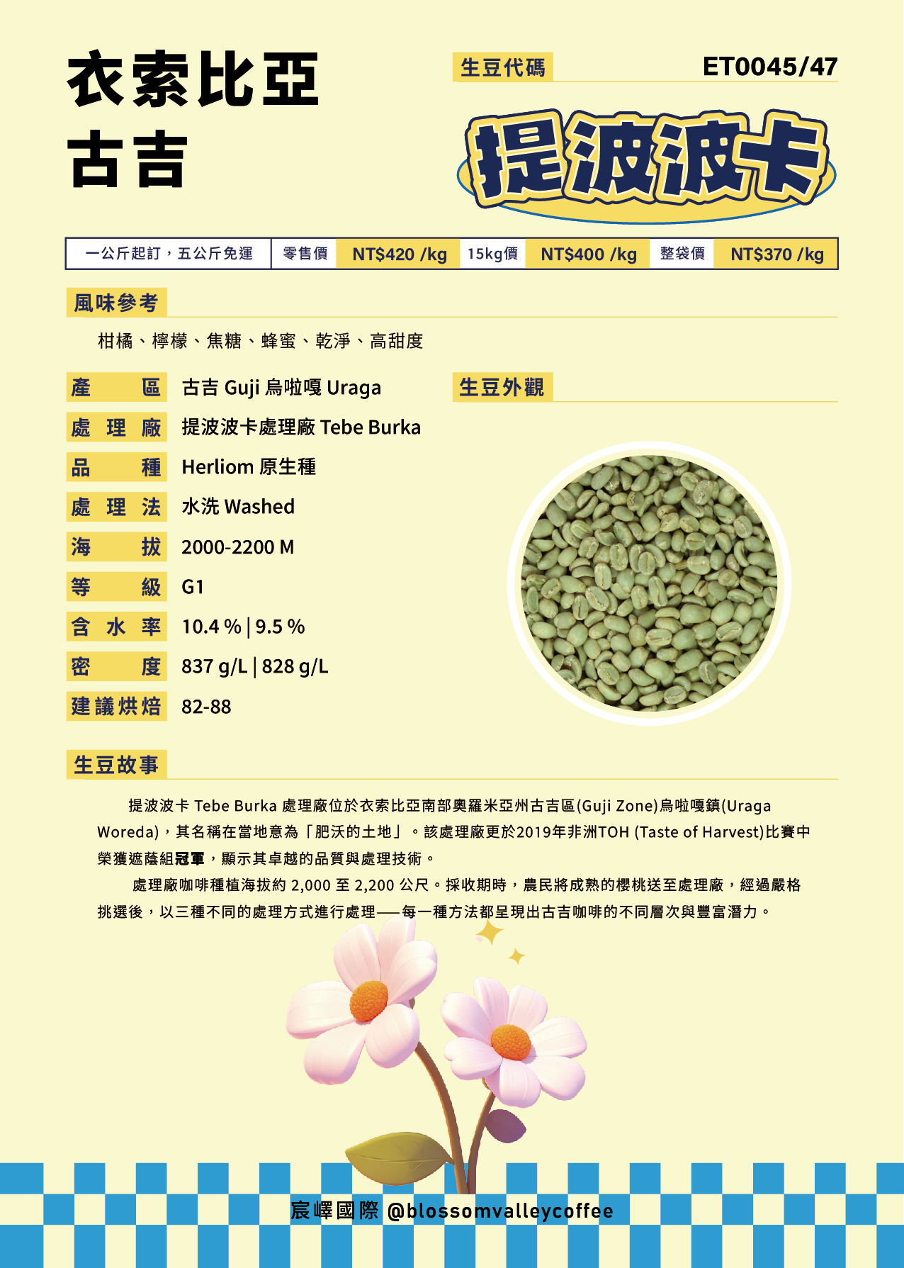 衣索比亞 古吉 提波波卡 水洗 G1