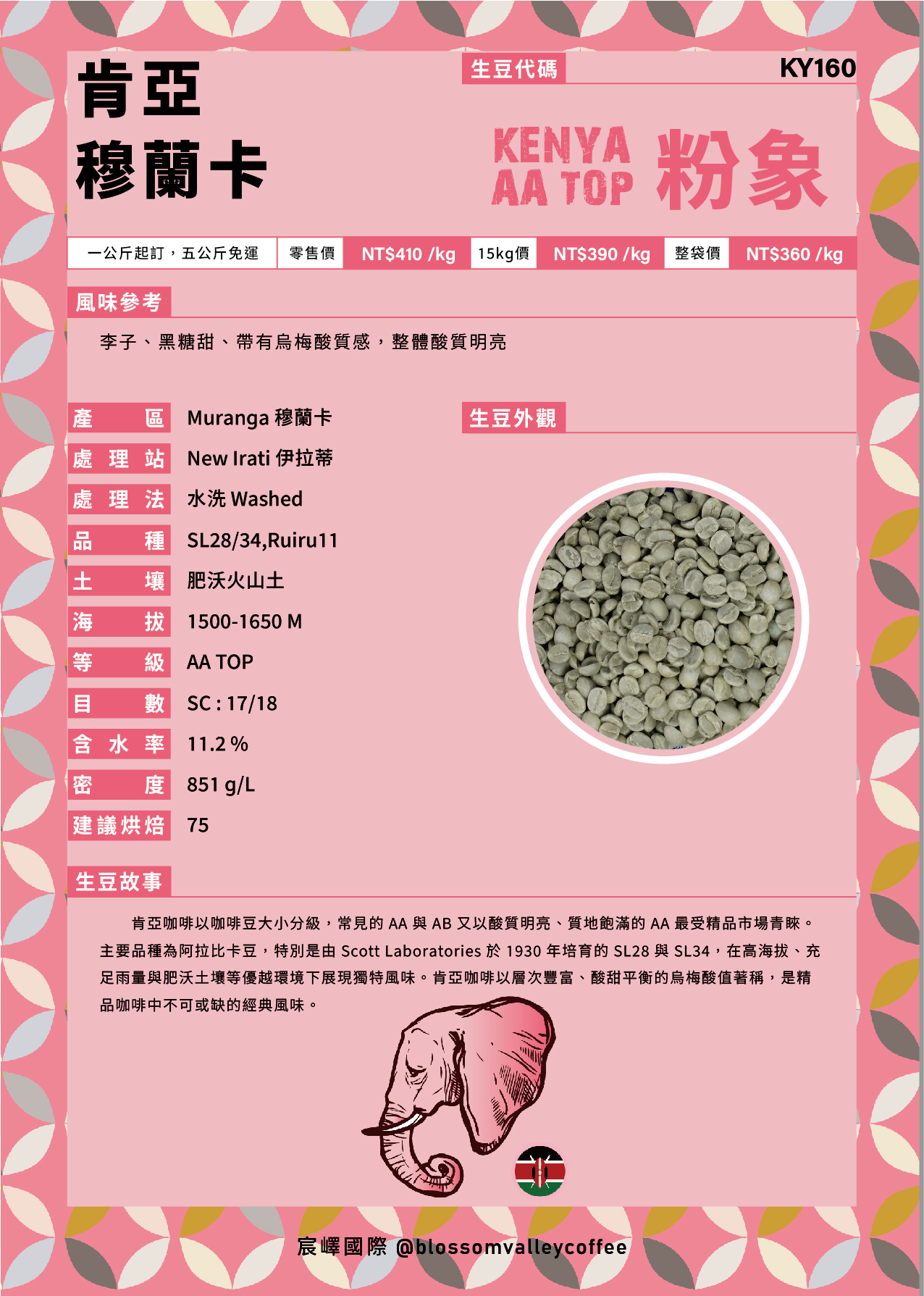 肯亞 穆蘭卡 粉象 AA TOP