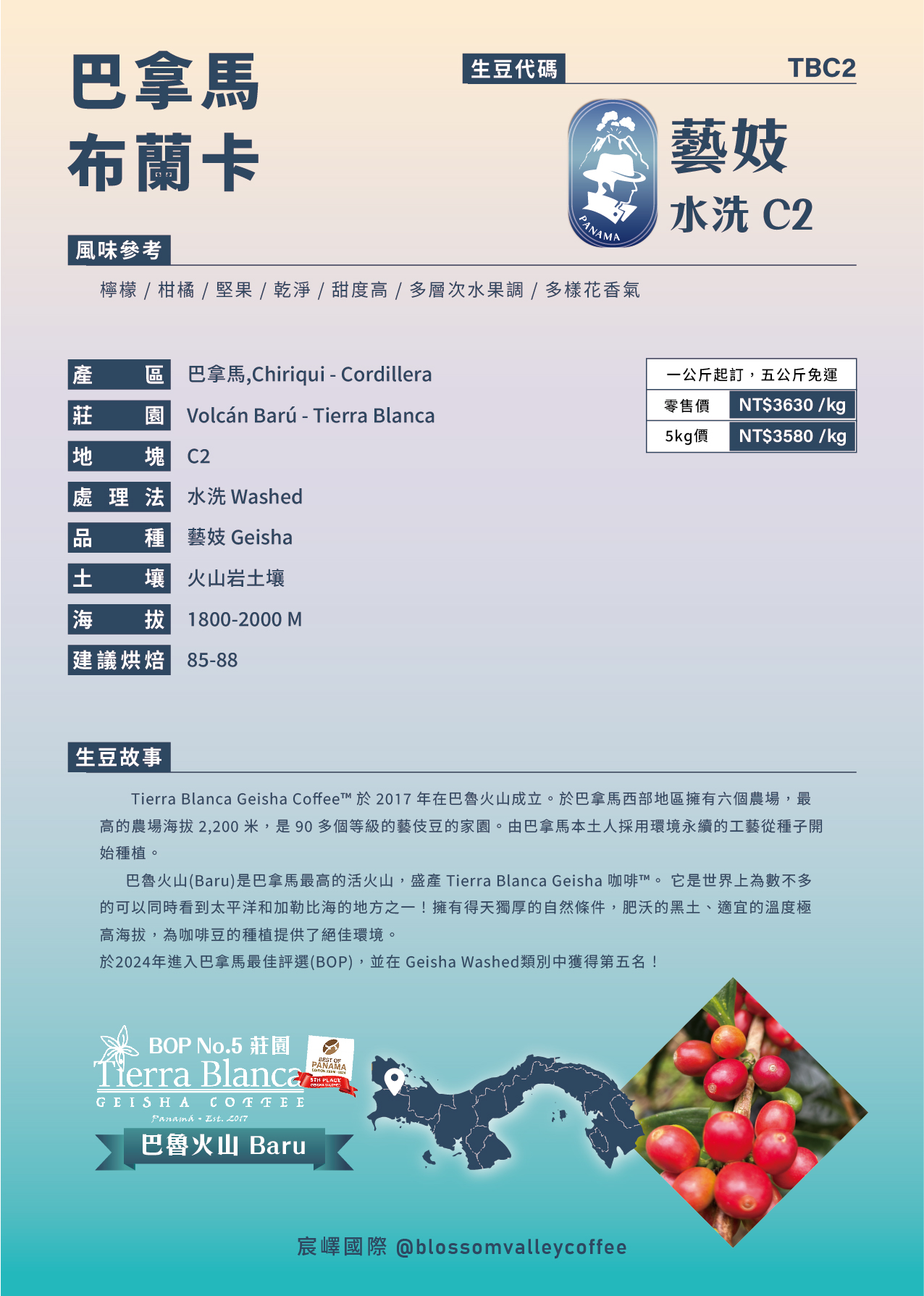 巴拿馬 布蘭卡 藝妓 水洗