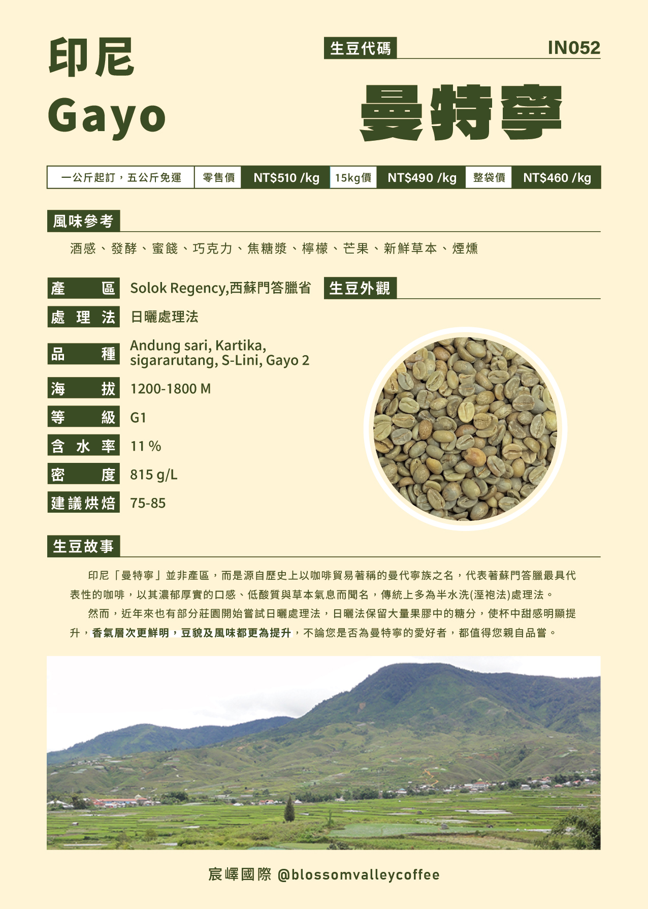 印尼 曼特寧 Gayo 日曬