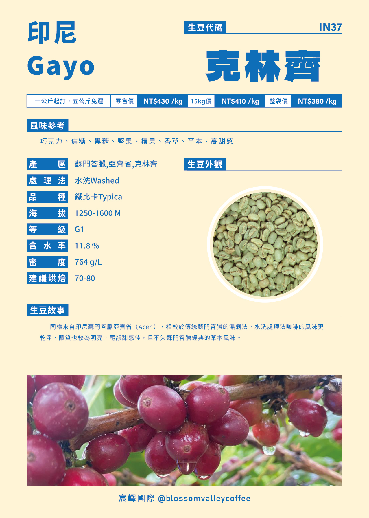 印尼 克林齊 Gayo 水洗
