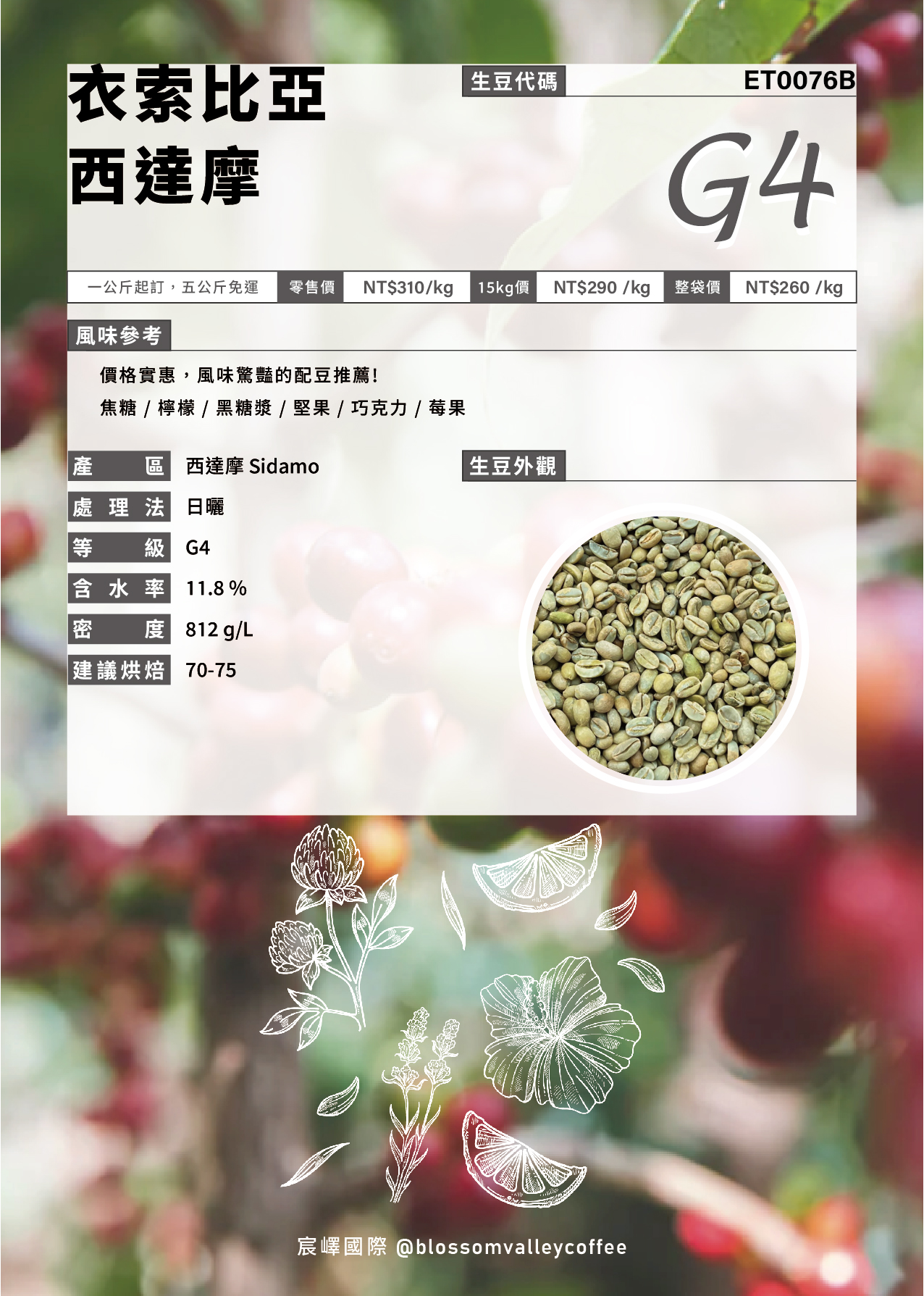 衣索比亞 西達摩 G4