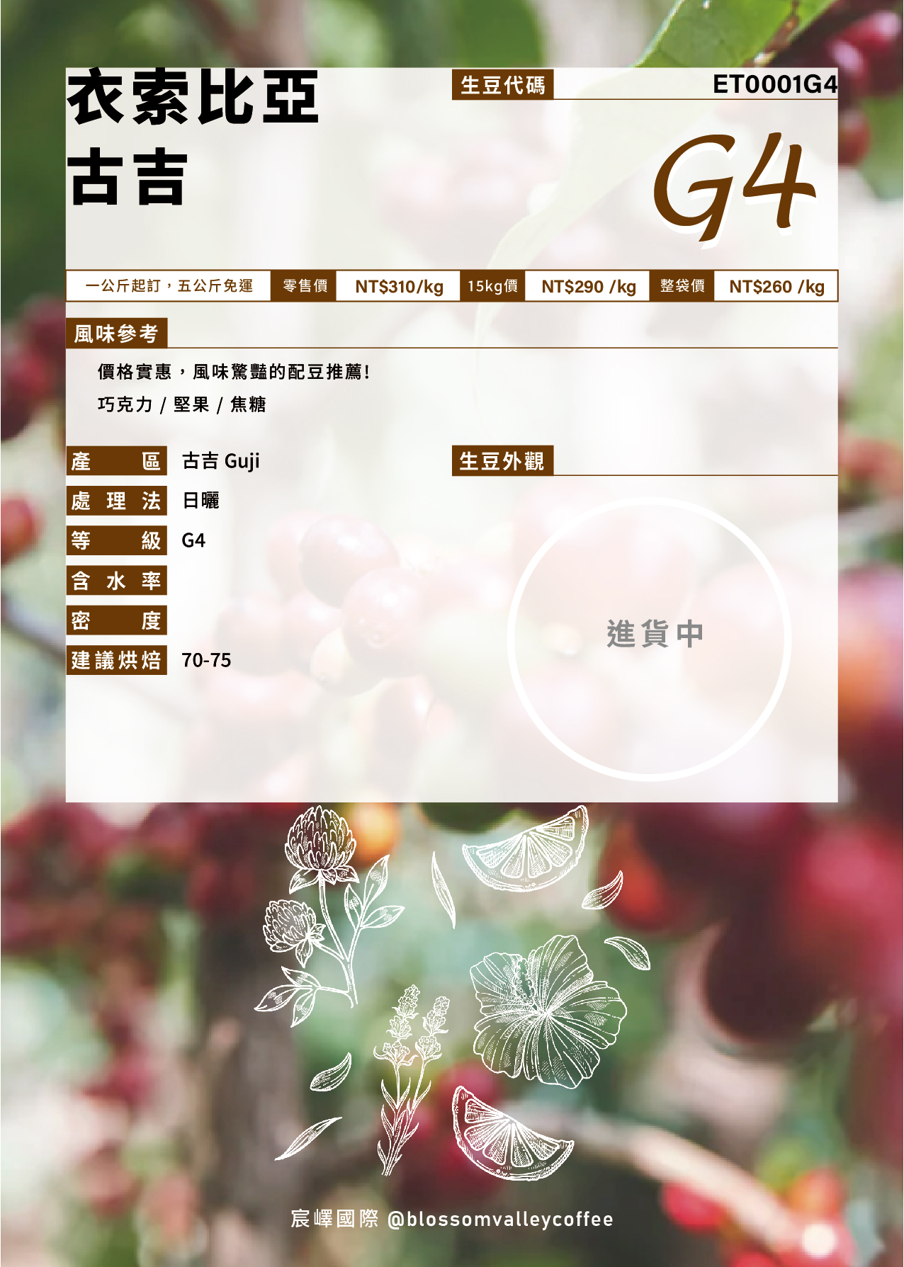 衣索比亞 古吉 G4 [預訂]