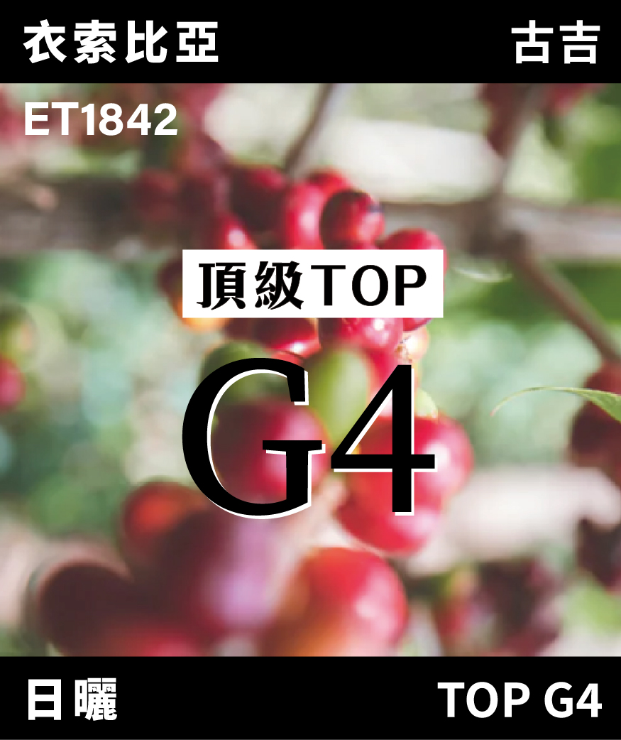 ET1842｜衣索比亞 西達摩 TOP G4