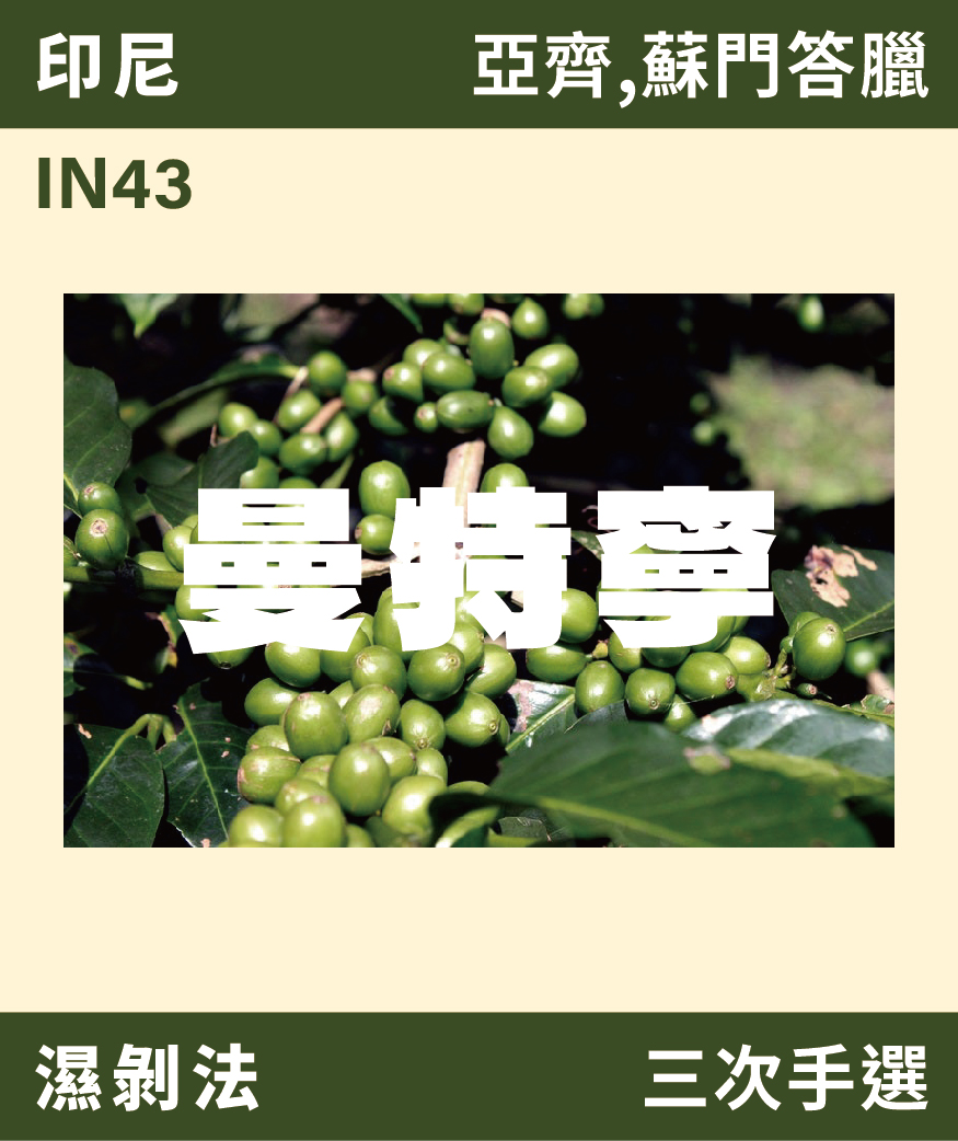 IN43｜印尼 曼特寧 三次手選 濕剝法 [噸價請私]