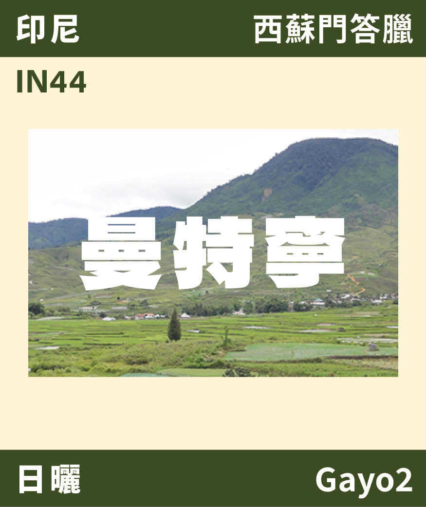 IN44｜印尼 曼特寧 Gayo 日曬