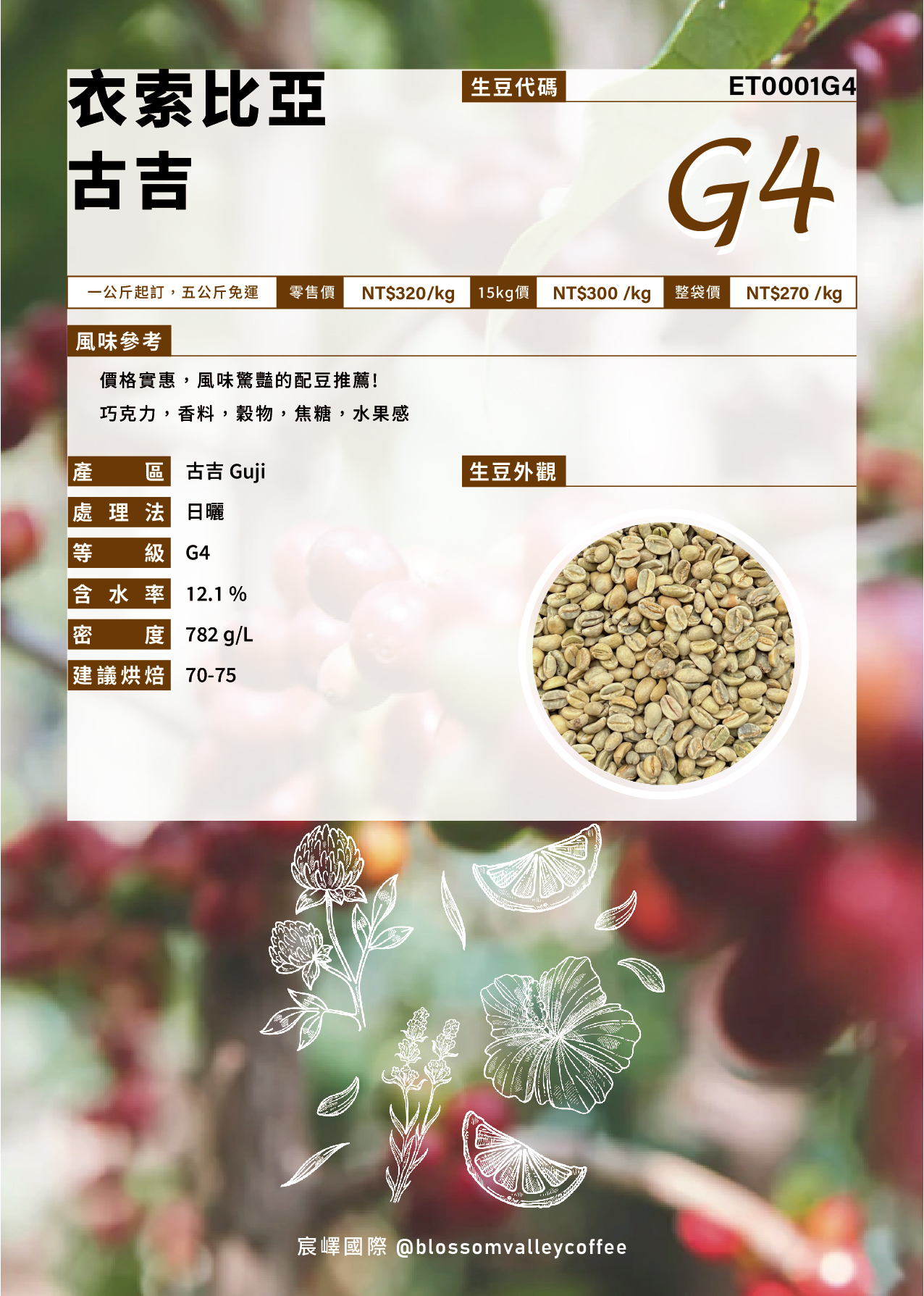 ET0001G4｜衣索比亞 古吉 G4