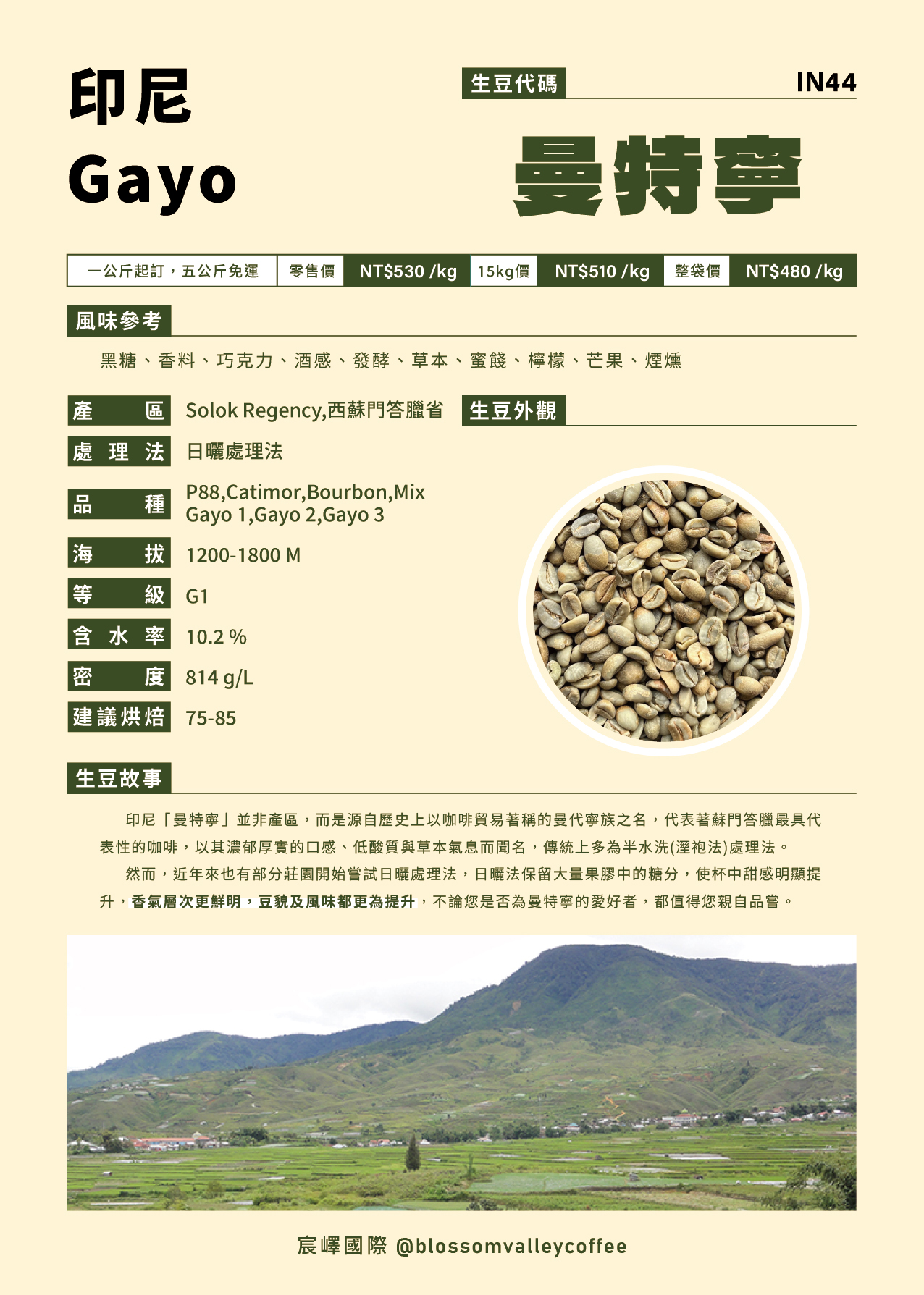 IN44｜印尼 曼特寧 Gayo 日曬