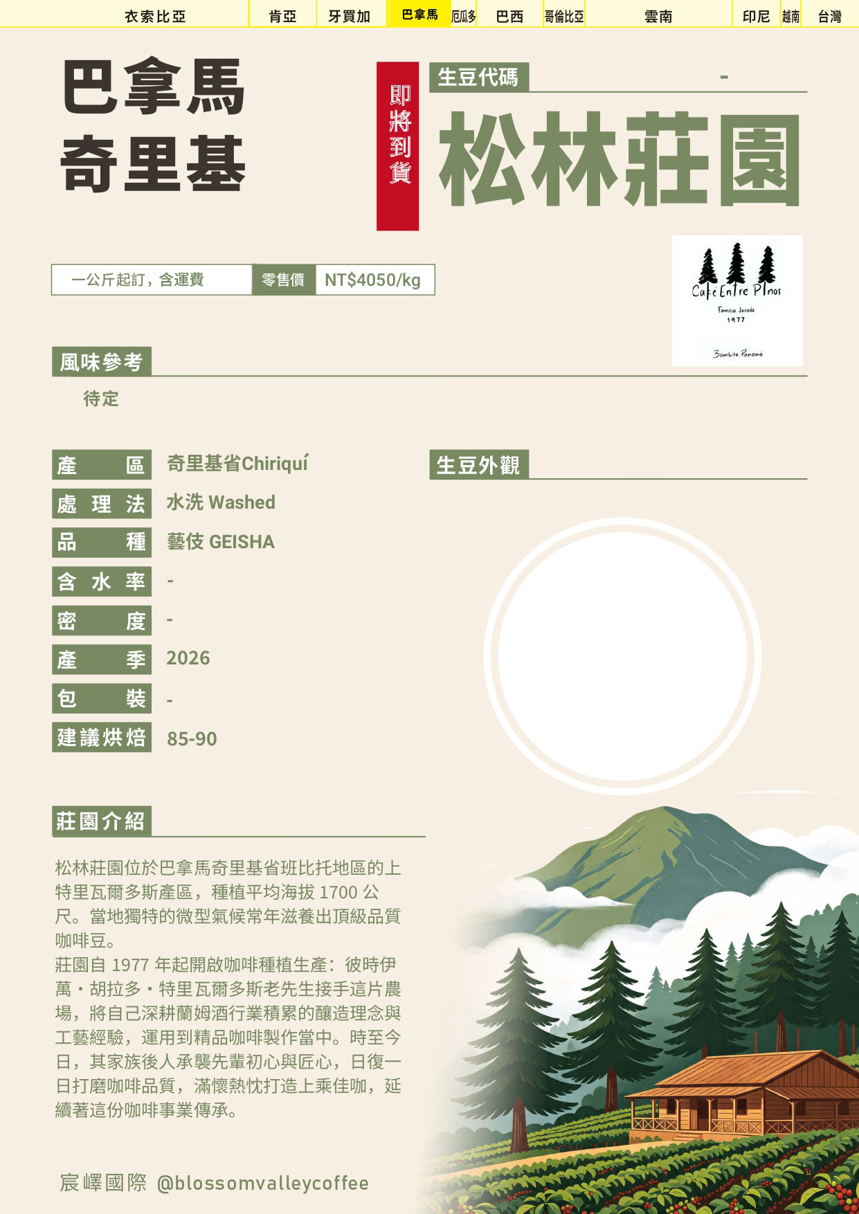  [預購]巴拿馬 松林莊園 藝伎 水洗