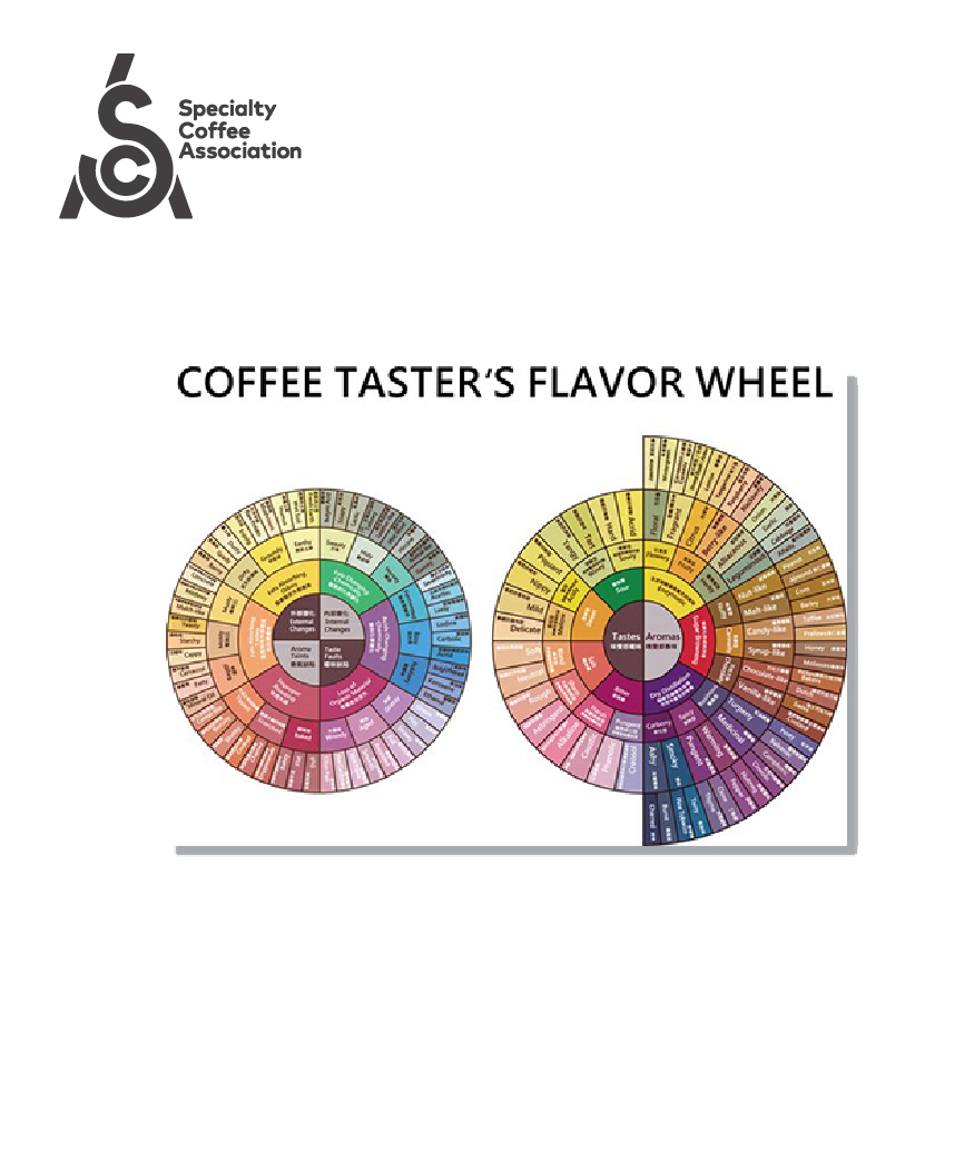 SCA 舊版風味輪海報 正版授權