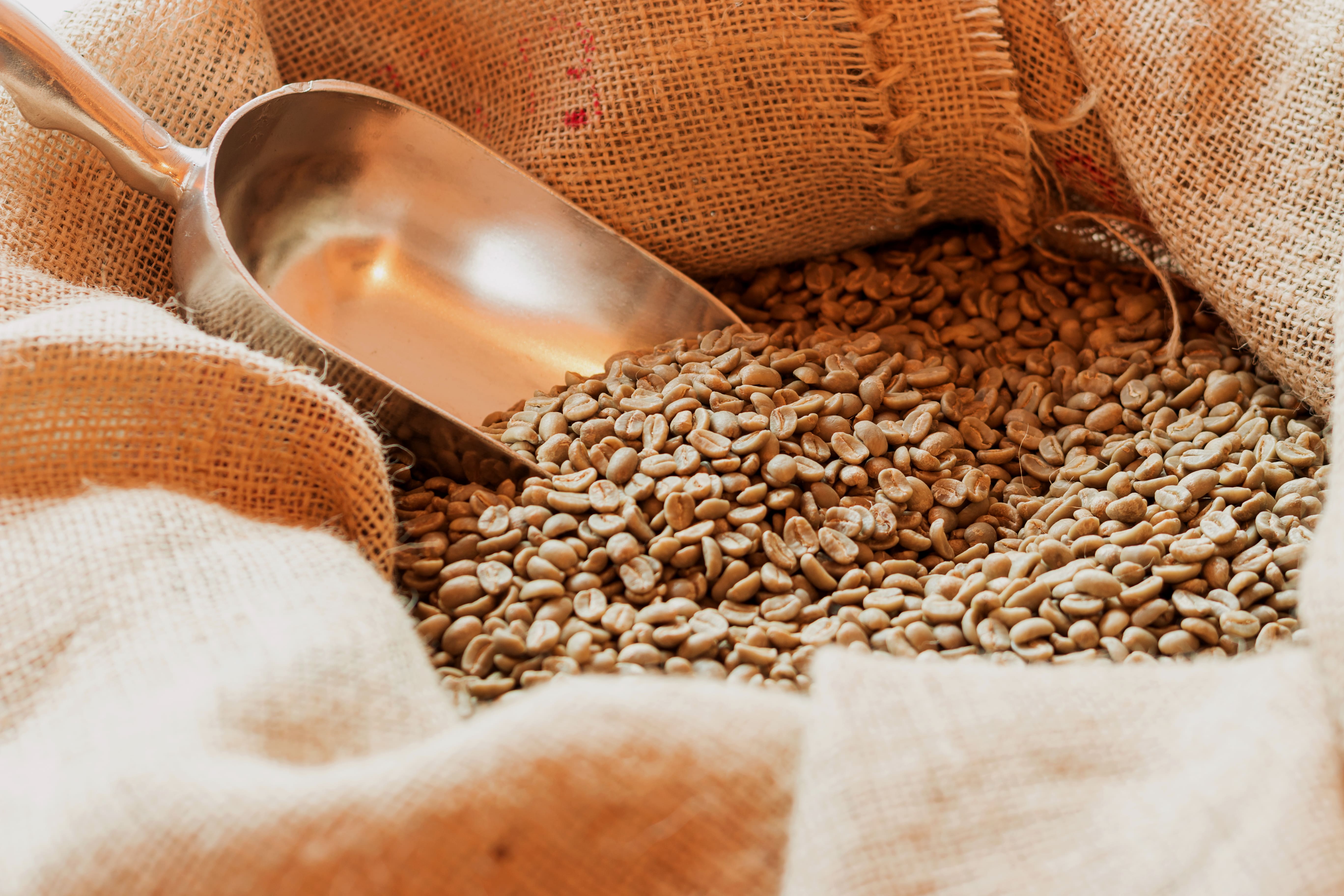 生豆採購商的庫存管理之道